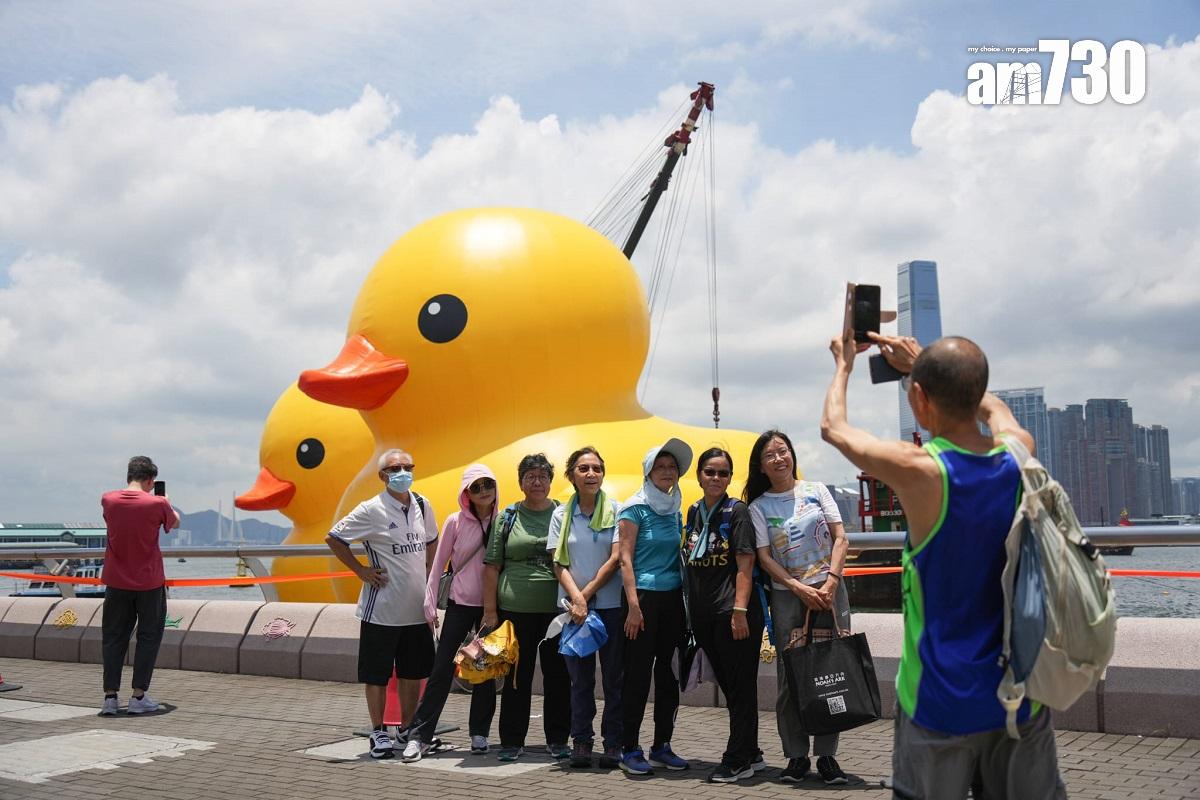 日前因太熱而「放氣」的黃鴨,終在6月12日重新「歸位」。(李睿哲攝)