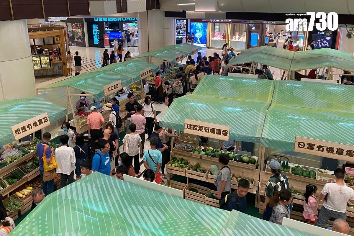 今年本地有機西瓜節在青衣城舉行,有40間本地有機農戶參與。(謝曉瑩攝)