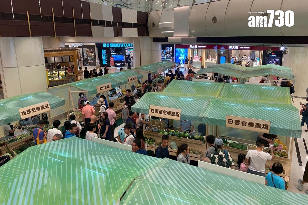 今年本地有機西瓜節在青衣城舉行,有40間本地有機農戶參與。(謝曉瑩攝)