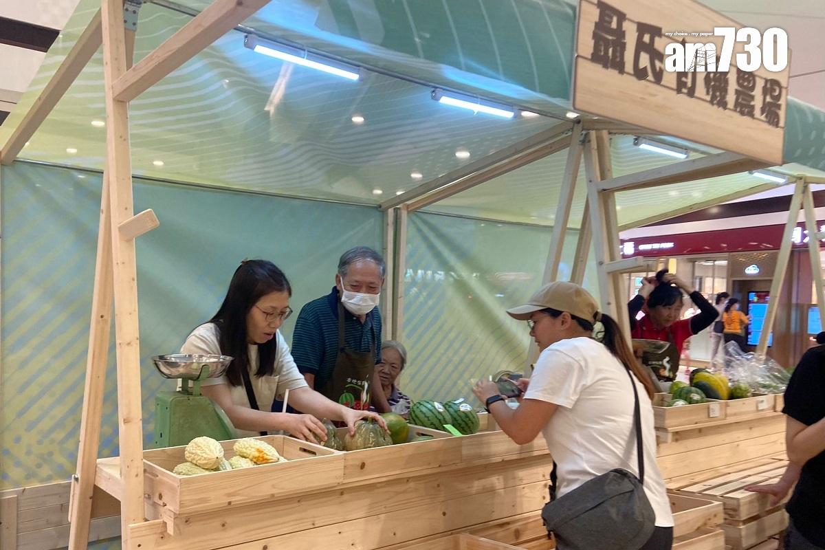 今年本地有機西瓜節在青衣城舉行,有40間本地有機農戶參與。(謝曉瑩攝)