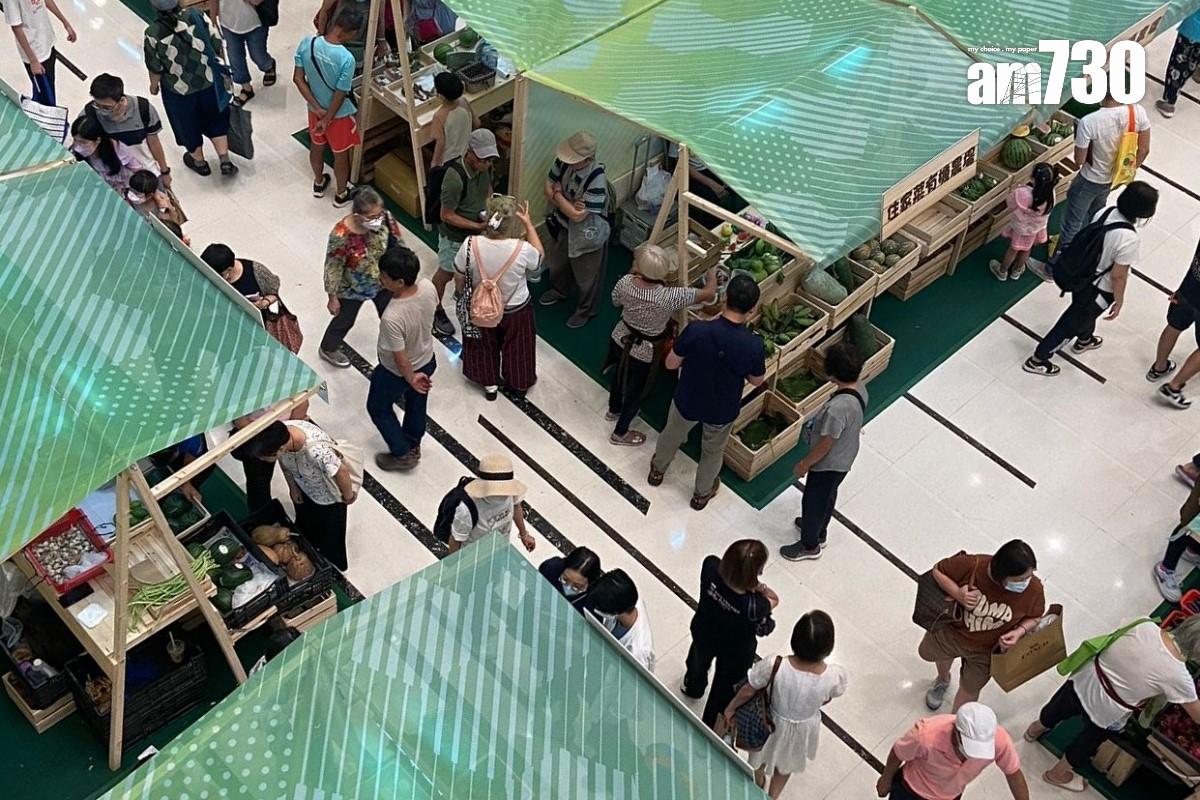 今年本地有機西瓜節在青衣城舉行,有40間本地有機農戶參與。(謝曉瑩攝)