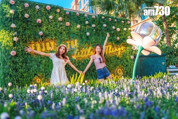 商場動態|新地MOKO及YOHO MALL斥共逾800萬推廣費 營業額看升兩成