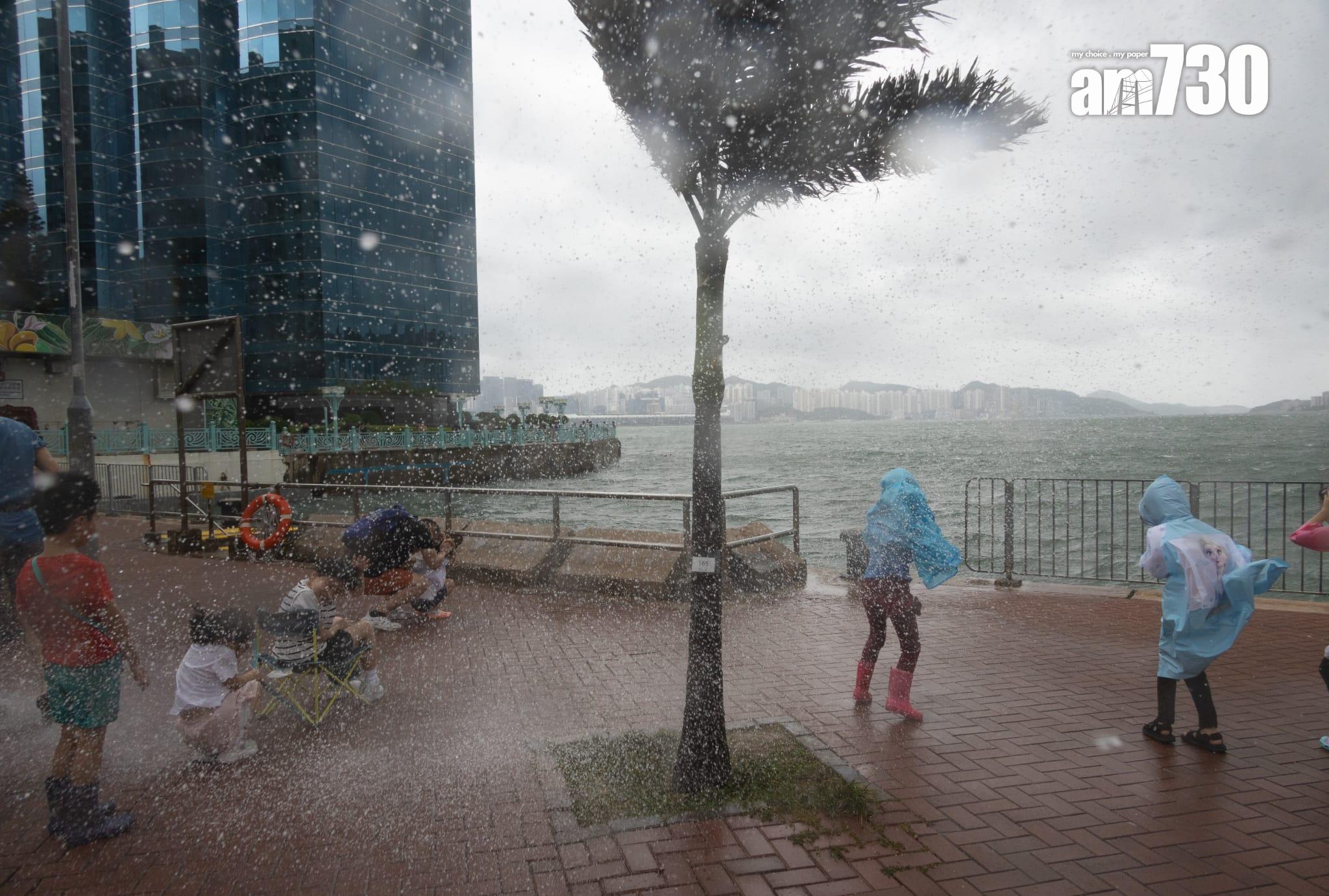 颱風泰利|八號風球下巿民無懼風浪到紅磡碼頭岸邊觀浪(蘇文傑攝)