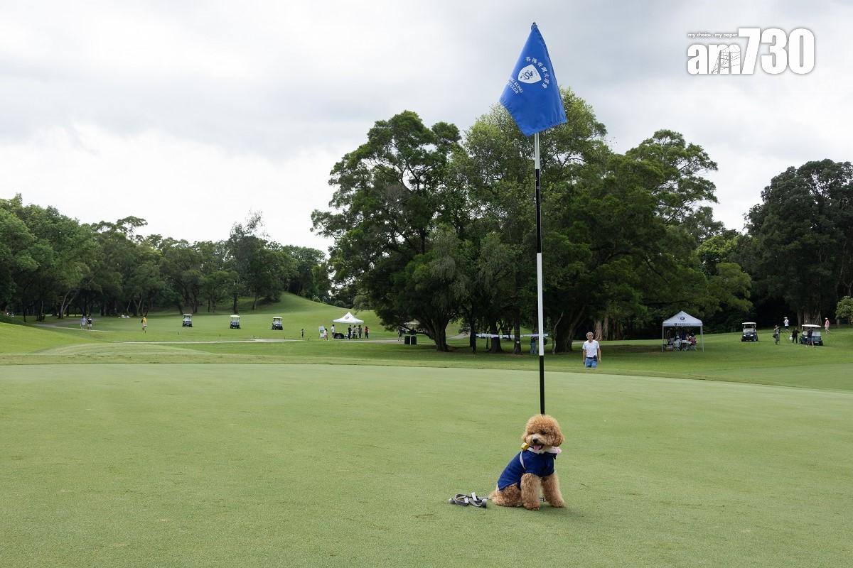 香港哥爾夫球會就粉嶺高球場環評報告的司法覆核申請,獲高等法院批出。(資料圖片/蘇文傑攝)