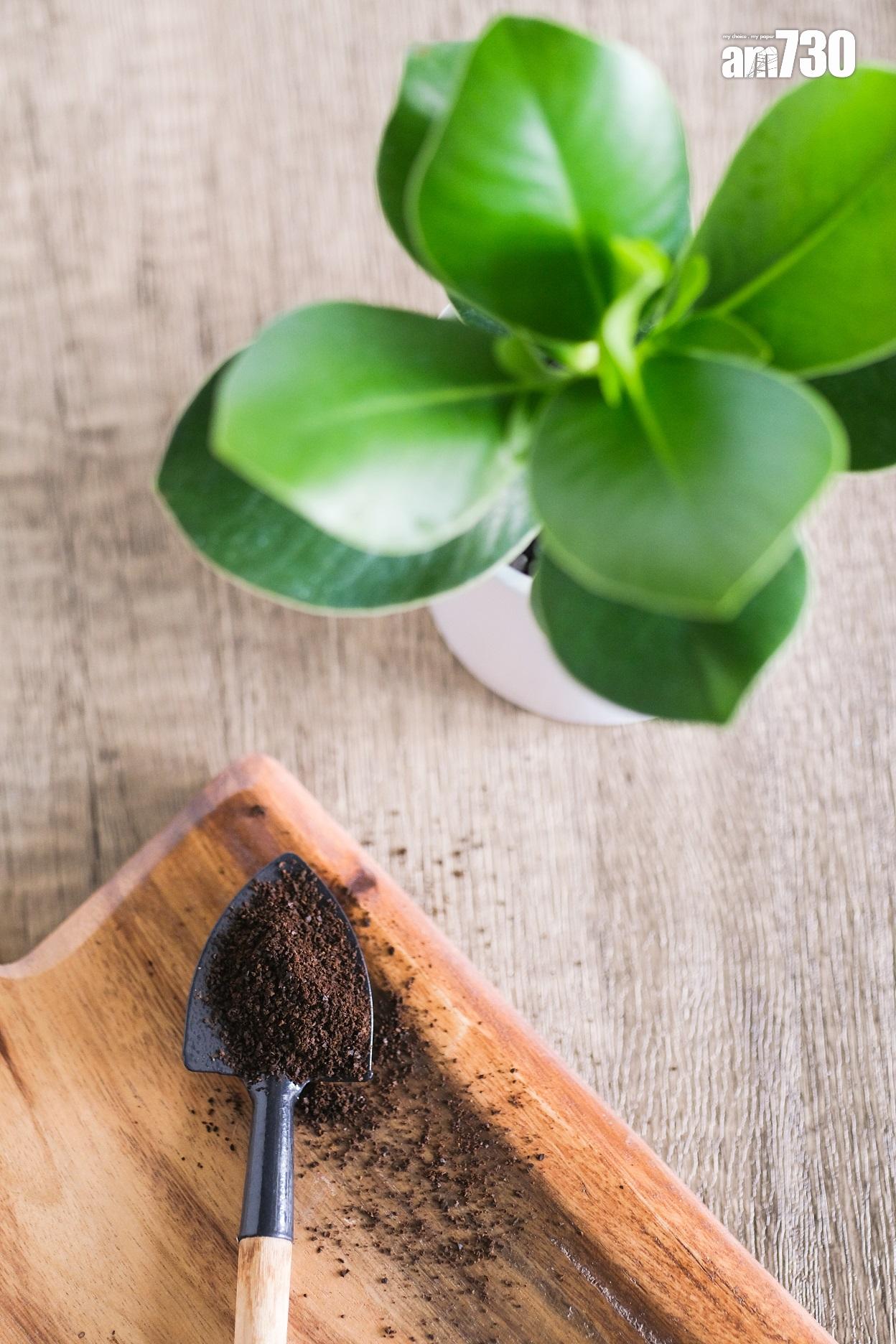 ESG|大快活130間分店免費提供咖啡渣檸檬皮 「轉廢為材」料每年減186公噸廚餘