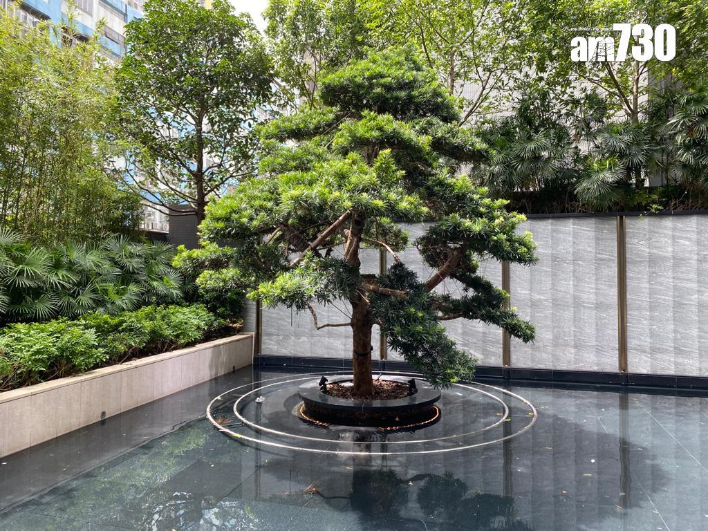 長沙灣新盤|映築現樓會所曝光 音樂與日式禪意設計|多圖