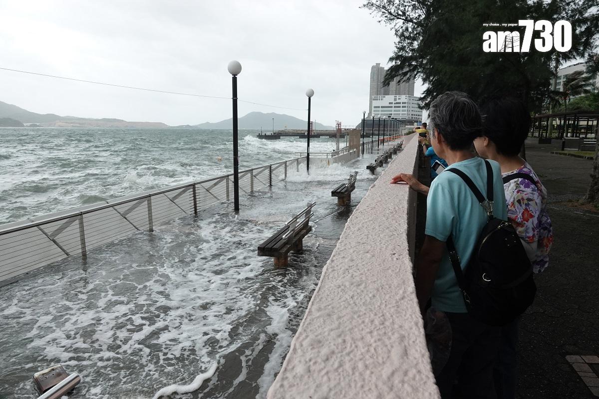 杏花邨一帶經常在颱風天「首當其衝」。(資料圖片/陳奕釗攝)