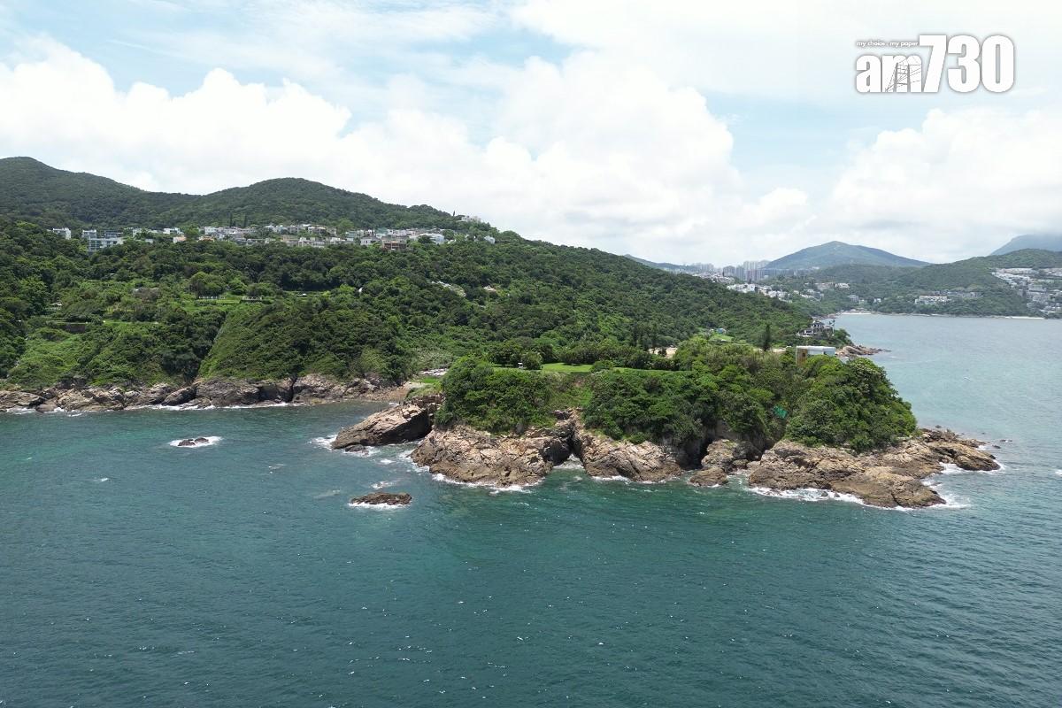 西貢海面今年7月曾出現一條布氏鯨的蹤影,惜不足半個月已被發現浮屍海面。(資料圖片)