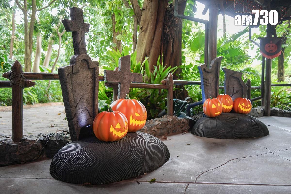 學者建議本港可舉辦內地沒有的活動,特別是節日旅遊活動,如萬聖節活動。(資料圖片/李睿哲攝)