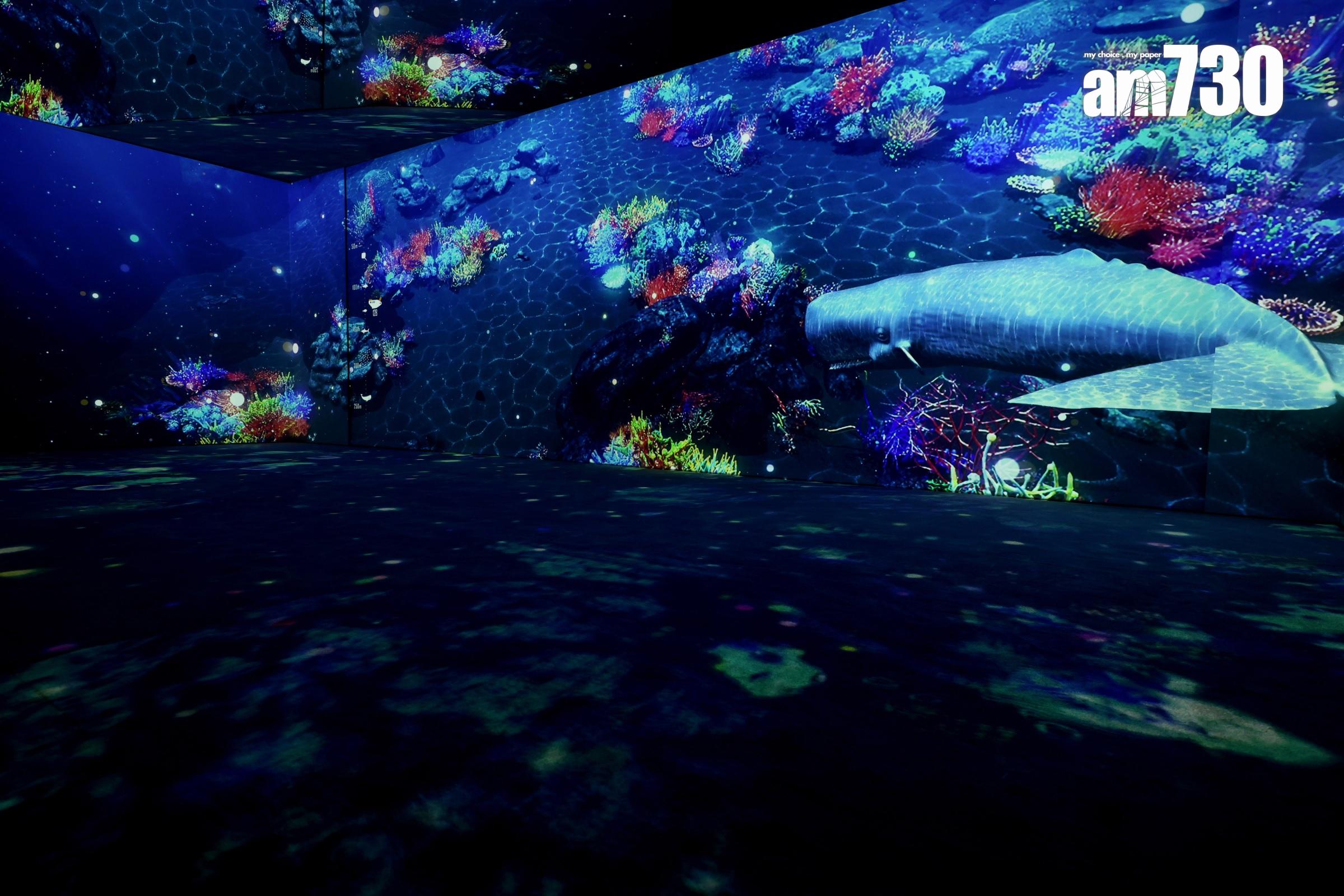 啟德海灣周末打卡新熱點 免費參觀光影展覽《PARADISE》|啟德新盤