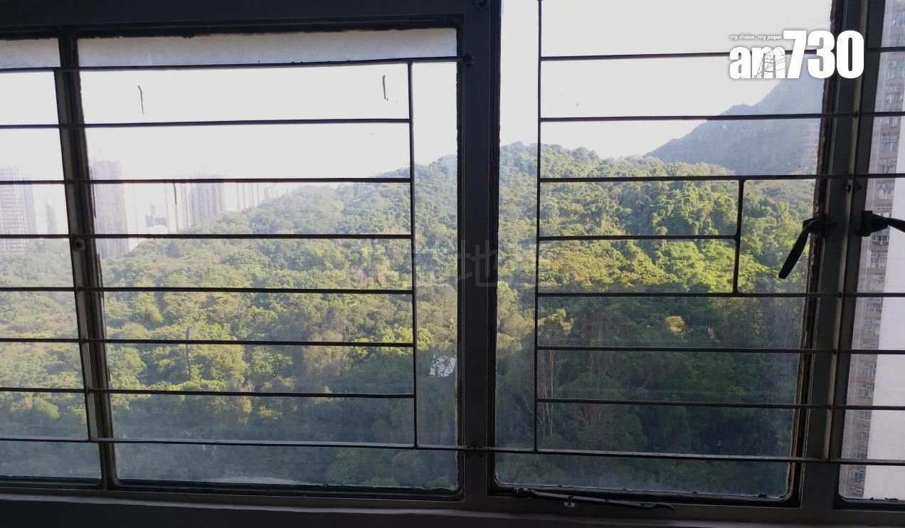 單位直擊│綠表客150萬購田景邨 怕放寬居屋擔保期後買貴|多圖