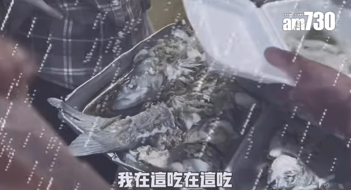 事主要求堂食兩餸飯,不過被店員拒絕(圖片來源:YouTube@小馬生存日記)