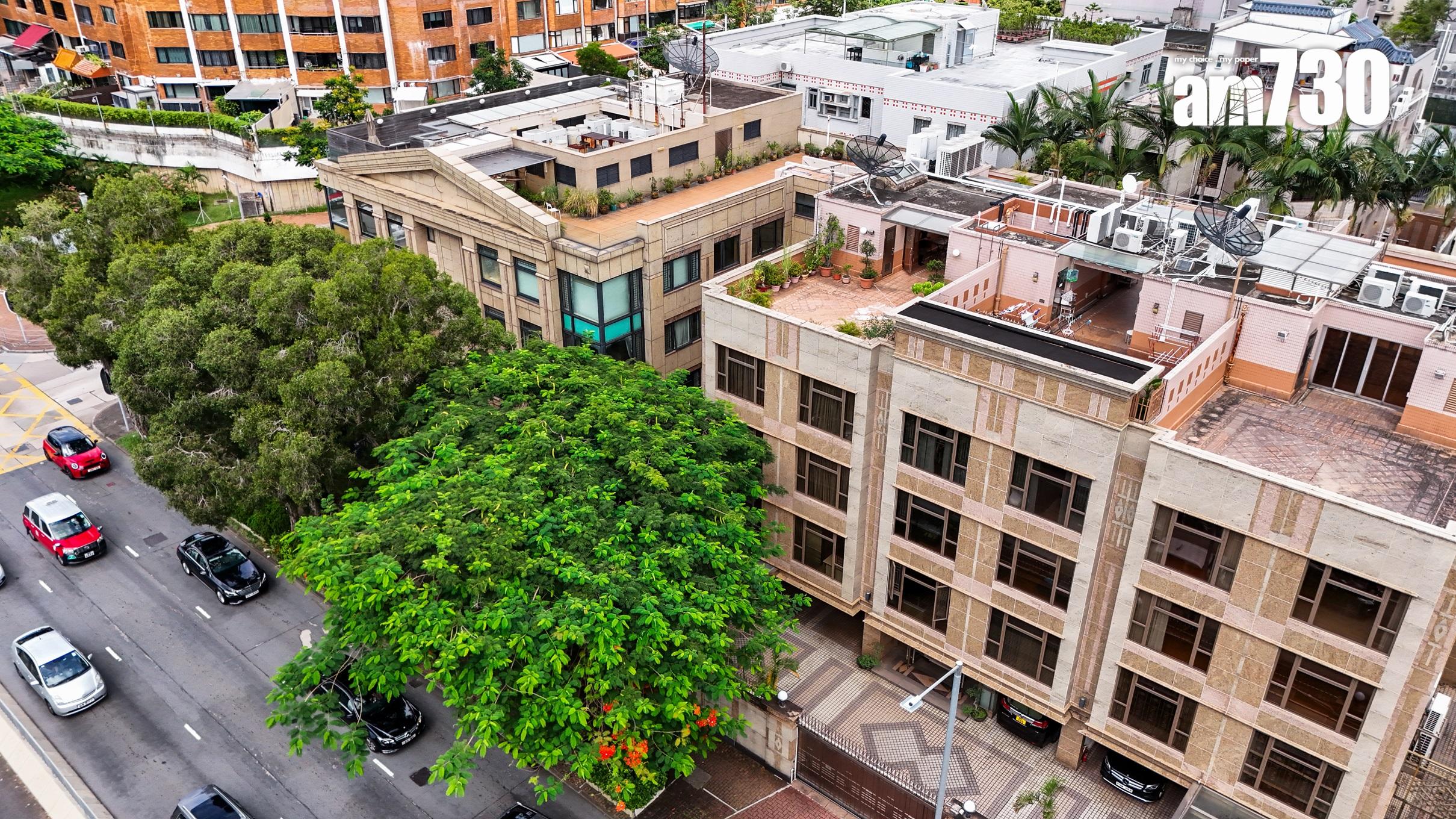 單位直擊|九龍塘窩打老道156號C號屋招標放售 面積逾6000呎|多圖