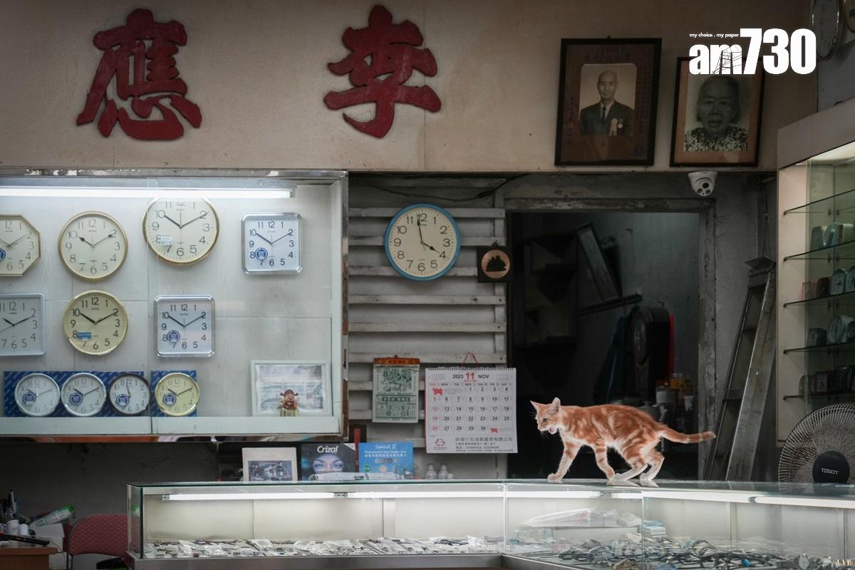 彩虹邨現時仍有不少商舖營業。(資料圖片)