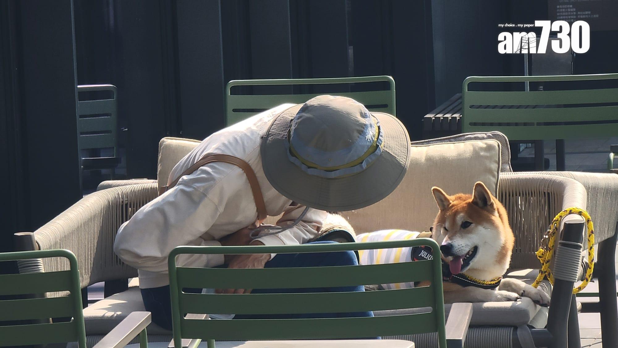 西九TOWNPLACE WEST KOWLOON佔地5.3萬呎會所首曝光 料明年2月開幕|多圖