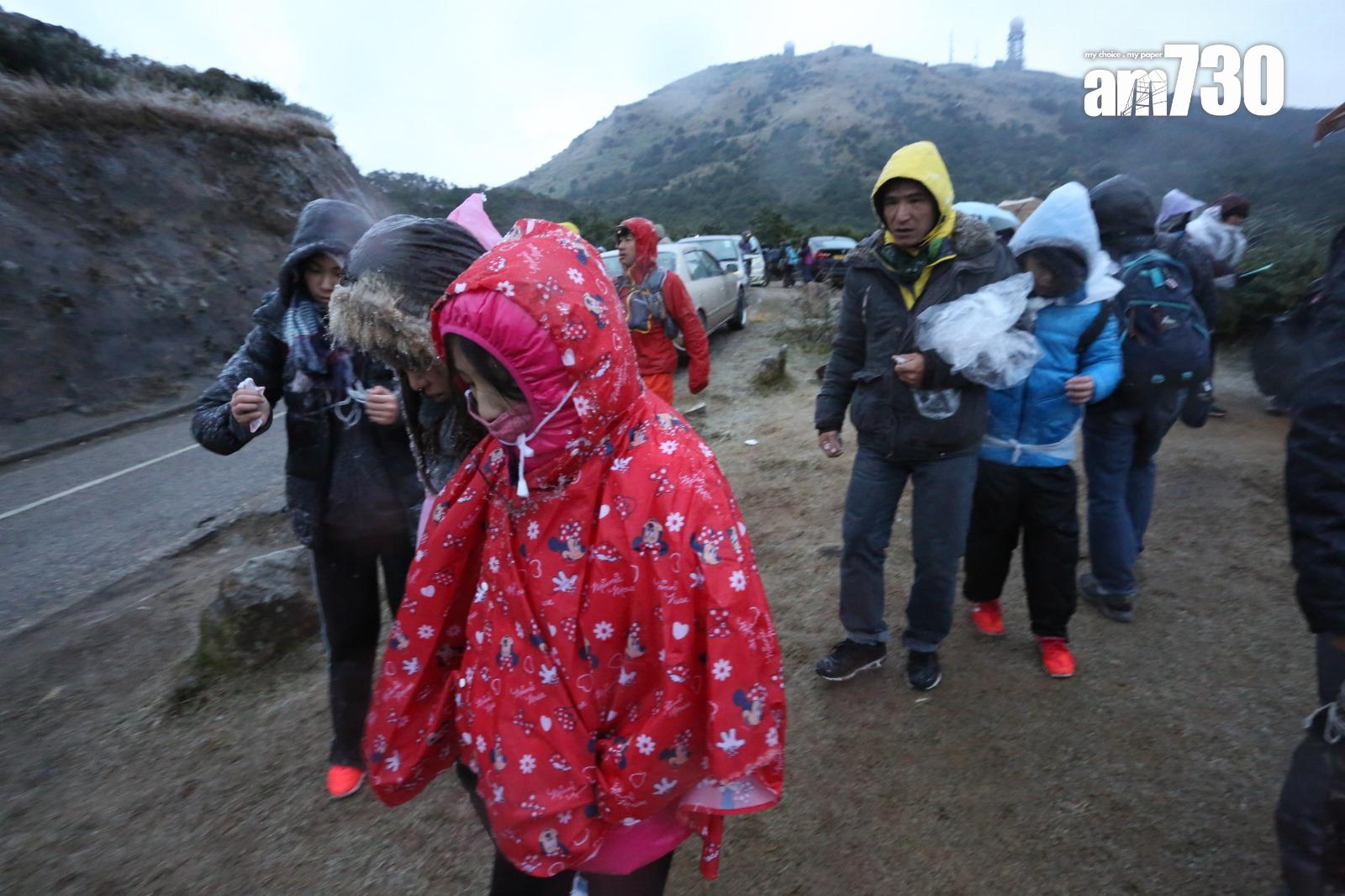 2016年寒潮|大帽山最低溫度零下6度 結霜冰封逾百人受傷(資料圖片/鍾式明攝)