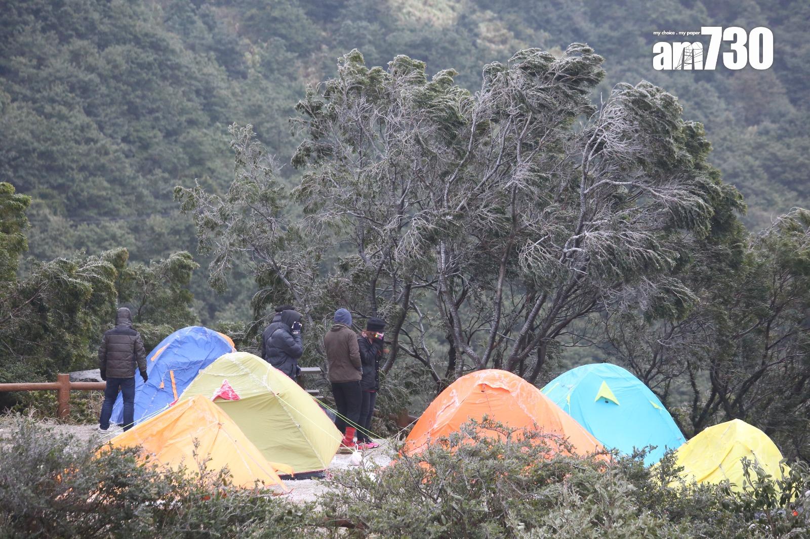 2016年寒潮|大帽山最低溫度零下6度 結霜冰封逾百人受傷(資料圖片/鍾式明攝)
