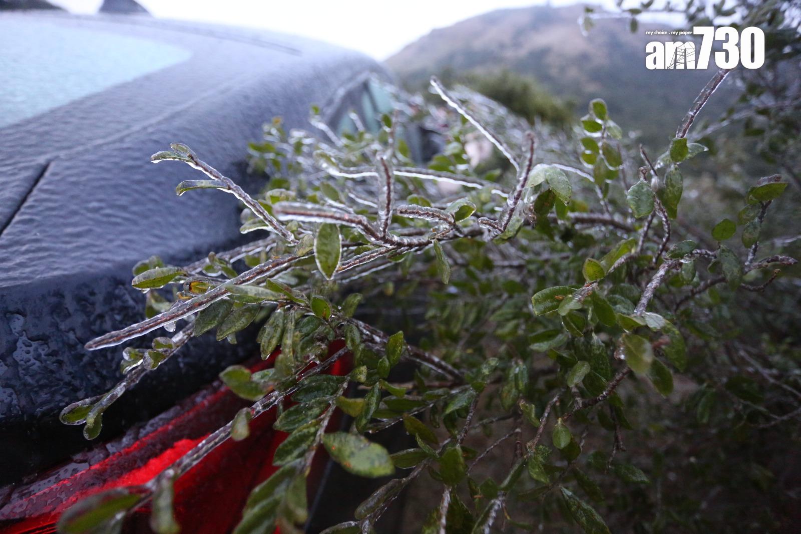 2016年寒潮|大帽山最低溫度零下6度 結霜冰封逾百人受傷(資料圖片/鍾式明攝)