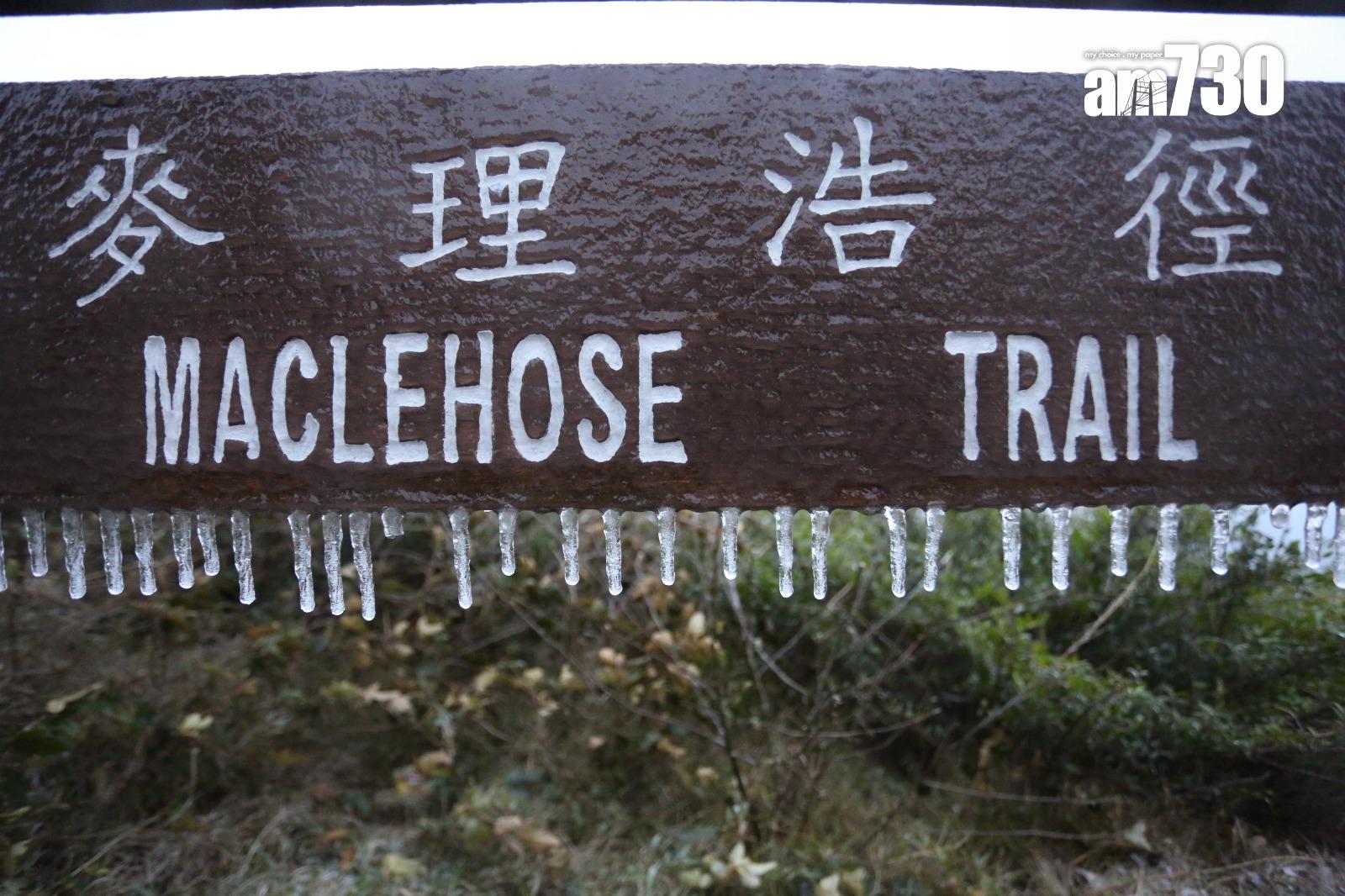 2016年寒潮|大帽山最低溫度零下6度 結霜冰封逾百人受傷(資料圖片/鍾式明攝)