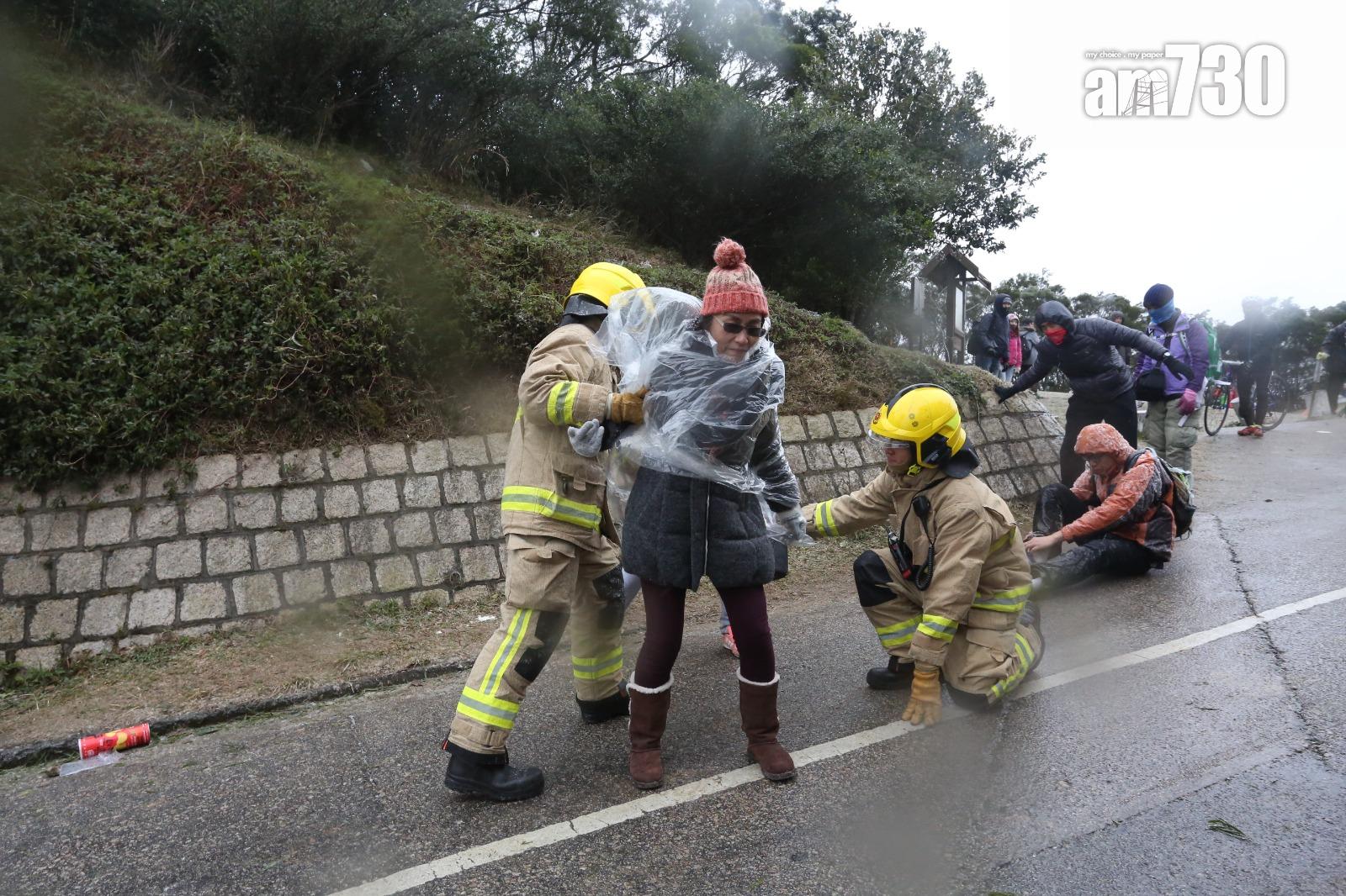 2016年寒潮|大帽山最低溫度零下6度 結霜冰封逾百人受傷(資料圖片/鍾式明攝)