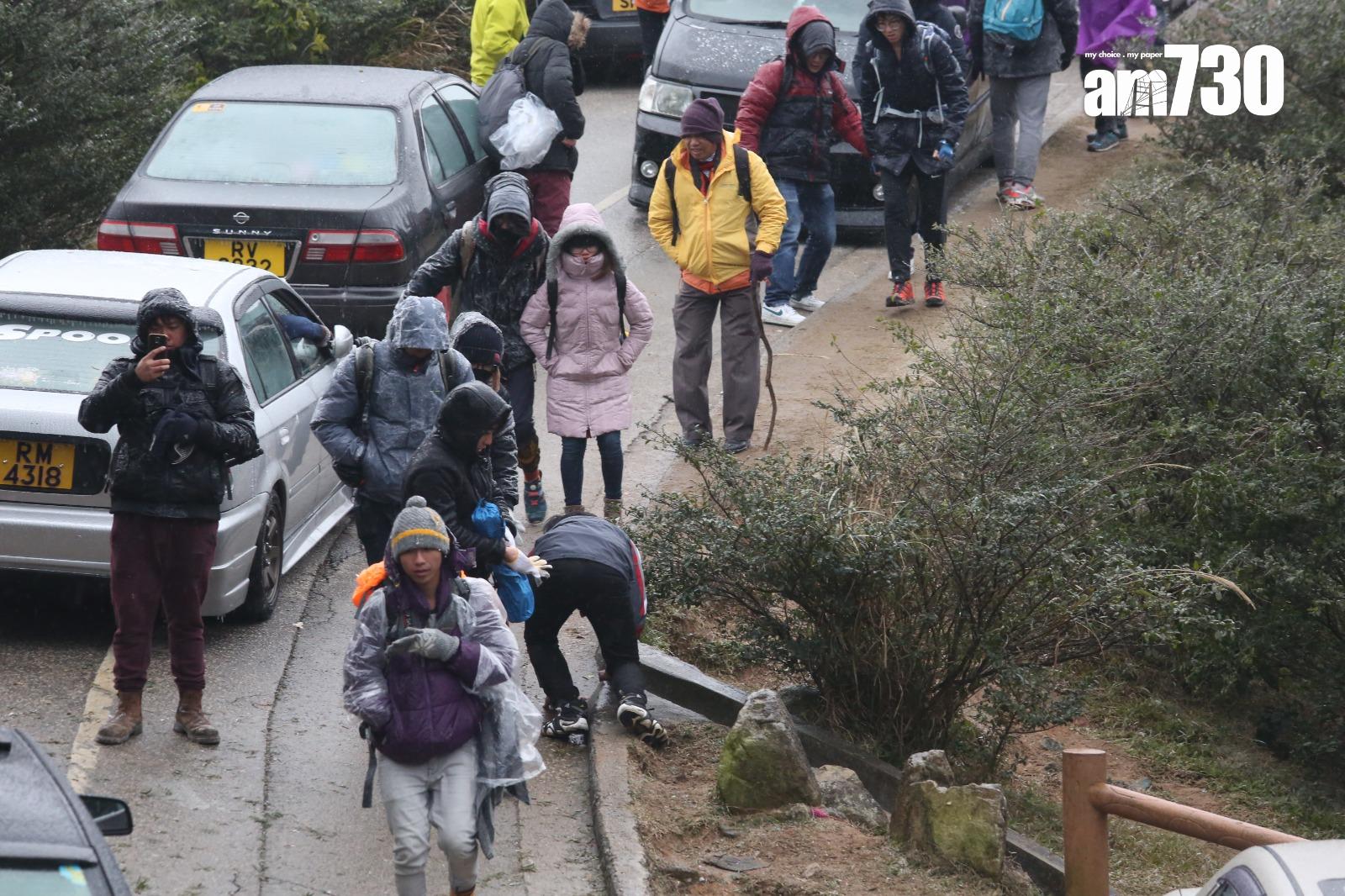 2016年寒潮|大帽山最低溫度零下6度 結霜冰封逾百人受傷(資料圖片/鍾式明攝)