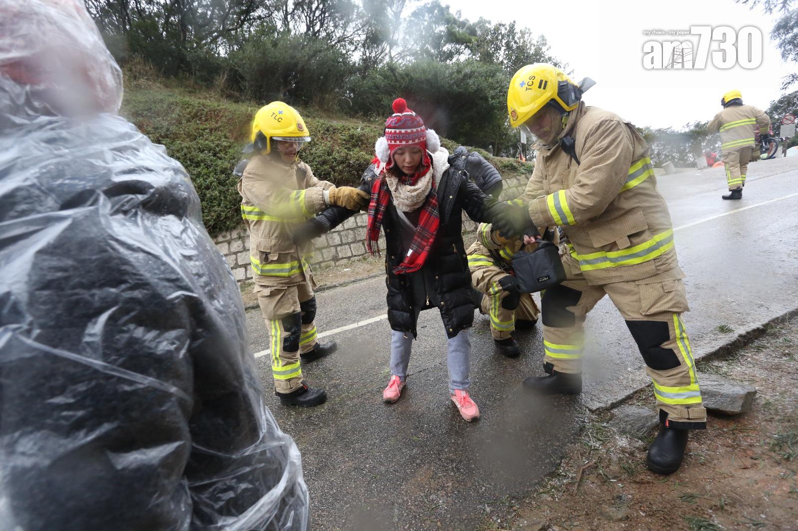 2016年寒潮|大帽山最低溫度零下6度 結霜冰封逾百人受傷(資料圖片/鍾式明攝)