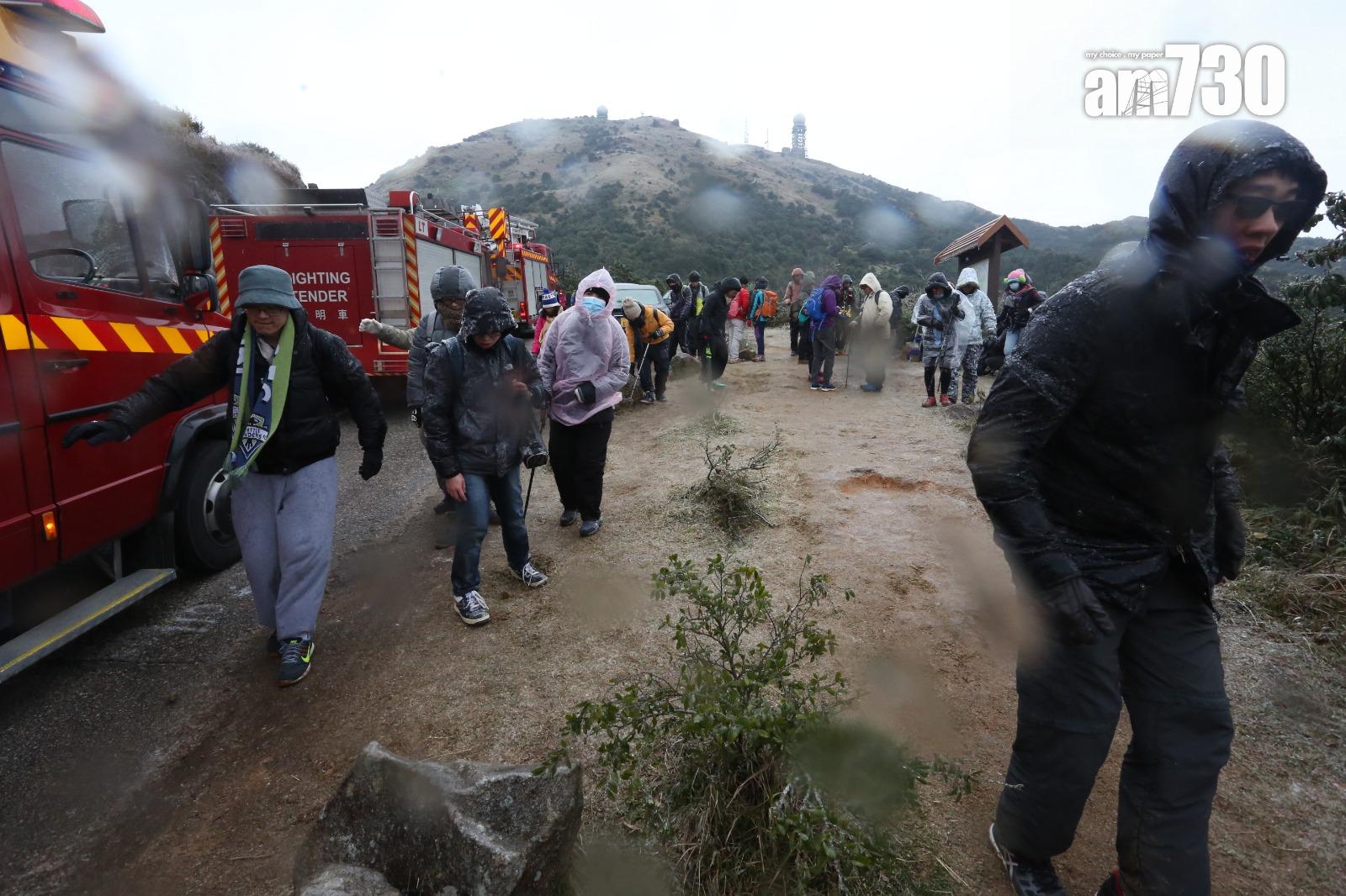 2016年寒潮|大帽山最低溫度零下6度 結霜冰封逾百人受傷(資料圖片/鍾式明攝)