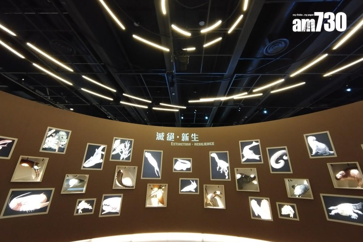 政府計劃把香港科學館重置到沙田。(資料圖片/鍾式明攝)