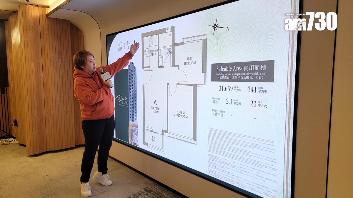 Elize PARK最快下周開價 部署新春前開賣 樂風:求價多於求量|旺角新盤