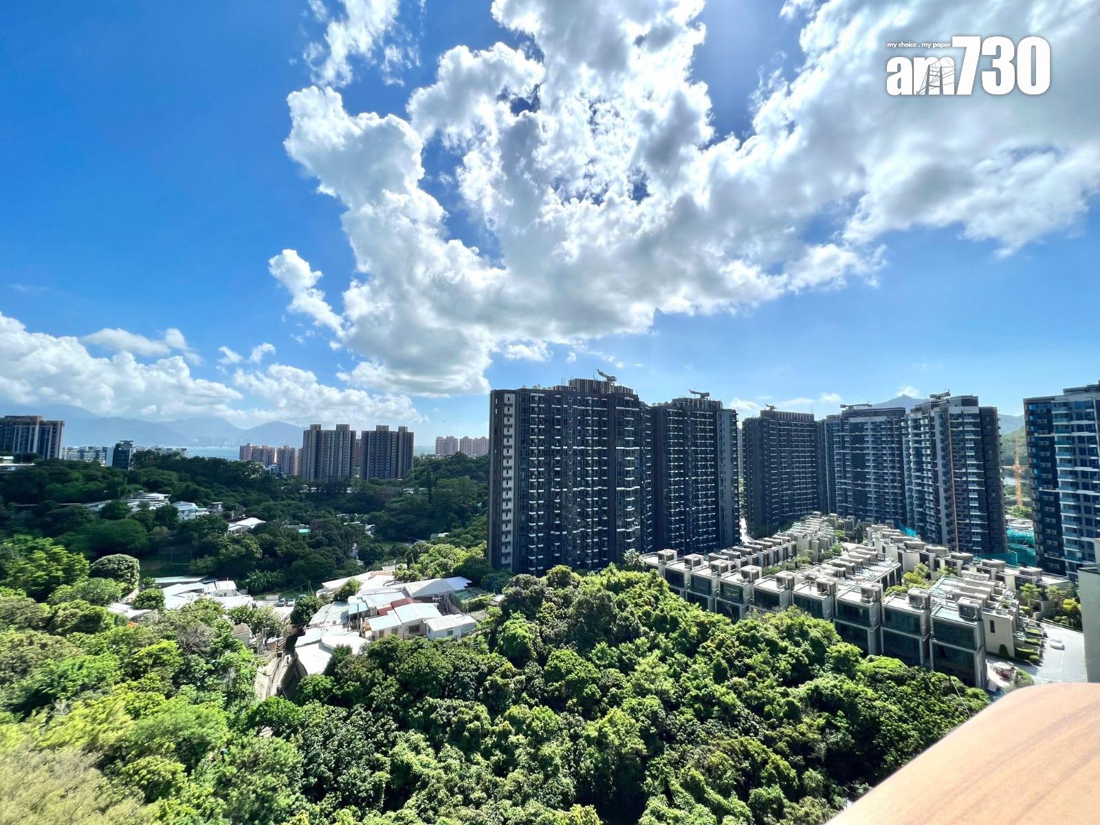 屯門半新盤兩房連靚裝修呎價1萬有找!代理:買家原物色居屋上車(多圖)│二手蝕讓