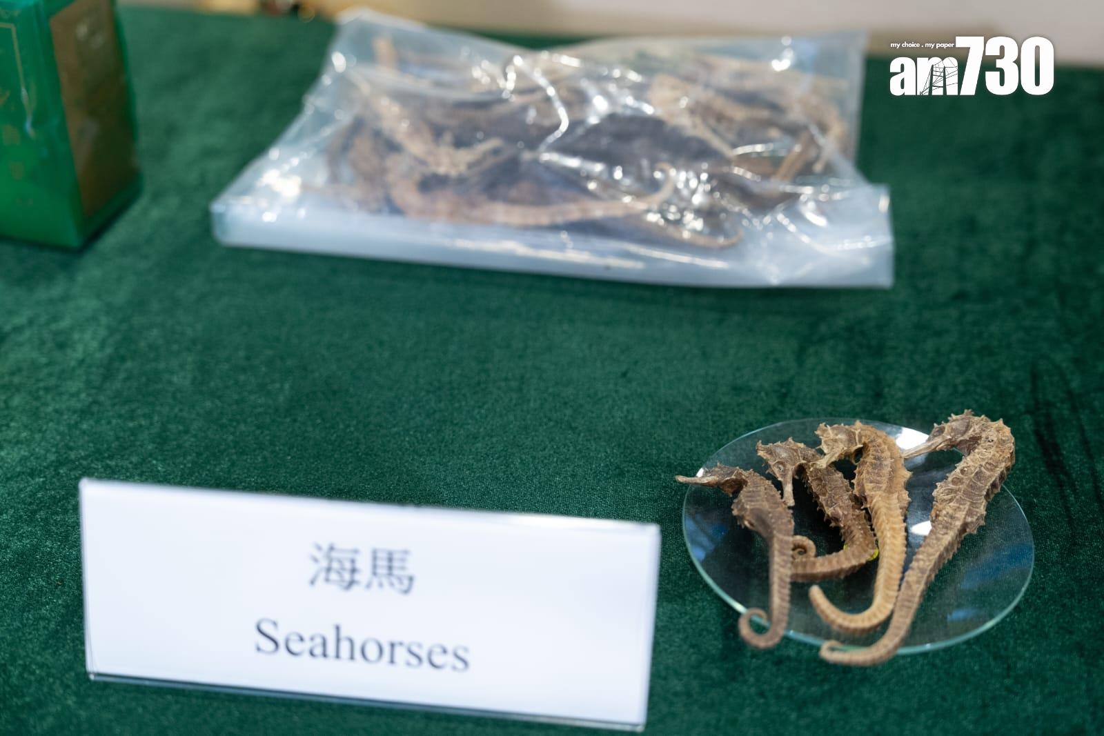 海馬屬受管制物品。(林靄怡攝)