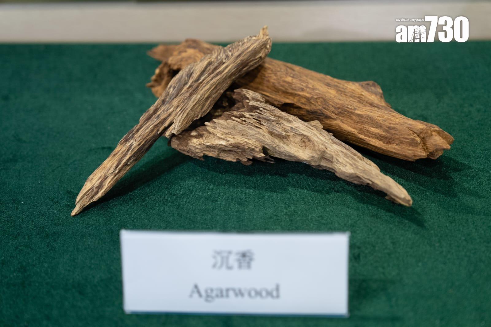 沉香屬受管制物品。(林靄怡攝)