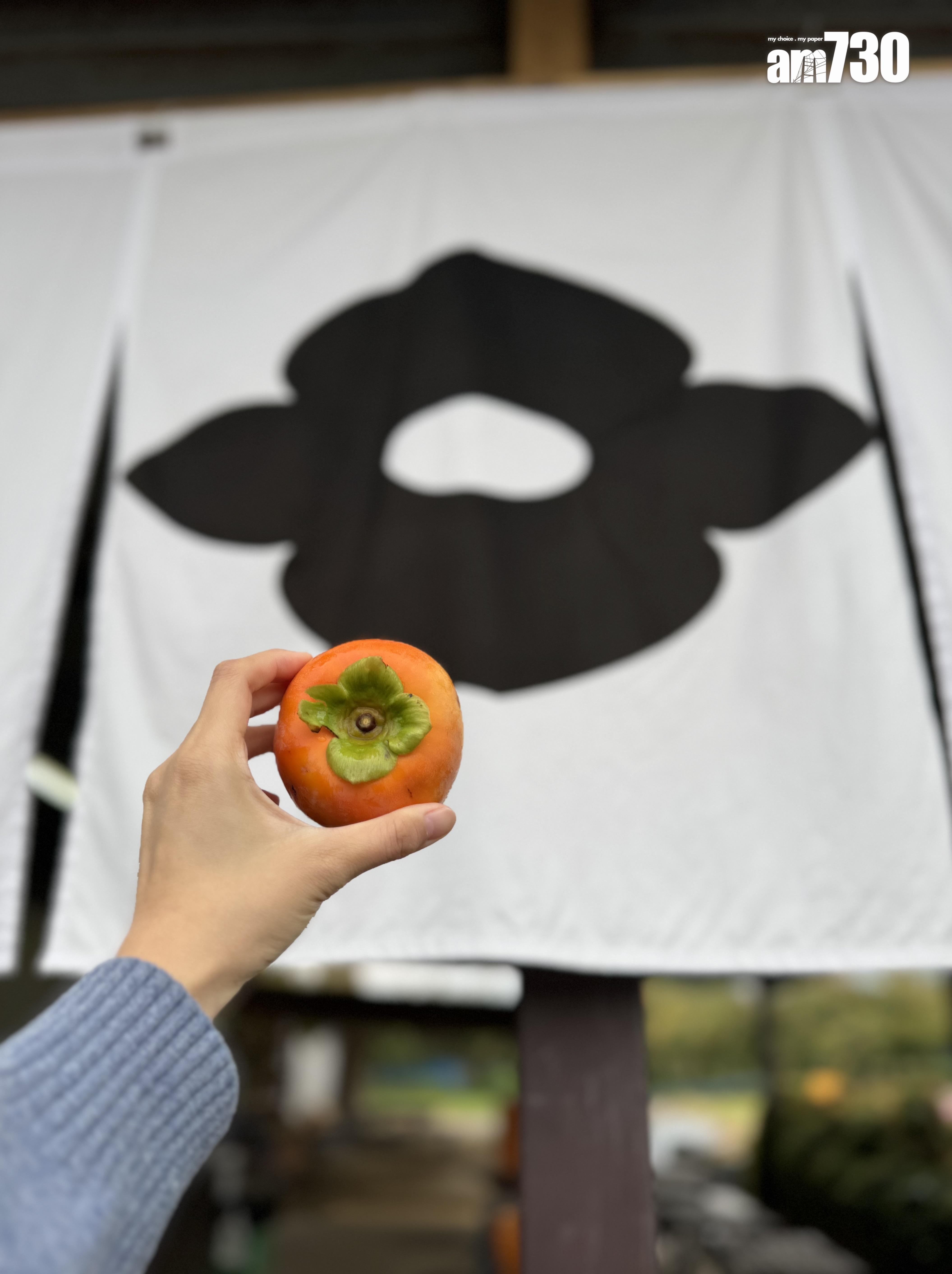 當造的富有柿足足有拳頭般大。