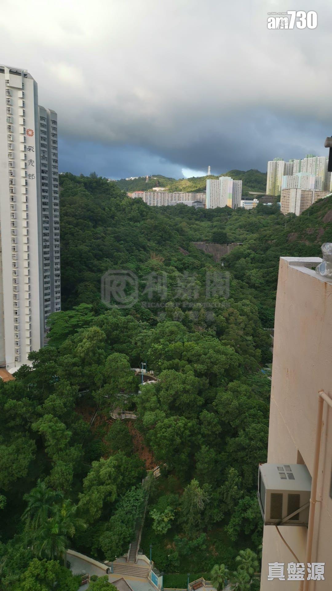 單位享翠綠開揚山景及俯瞰泳池景,景觀清幽吸引。(代理提供)