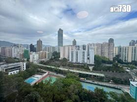 何文田京士柏山頂層複式五房連車位 劈價至逾8000萬求售|多圖