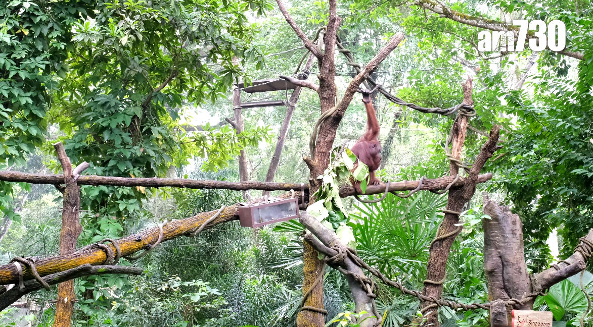 阿明餐廳「野趣早餐」