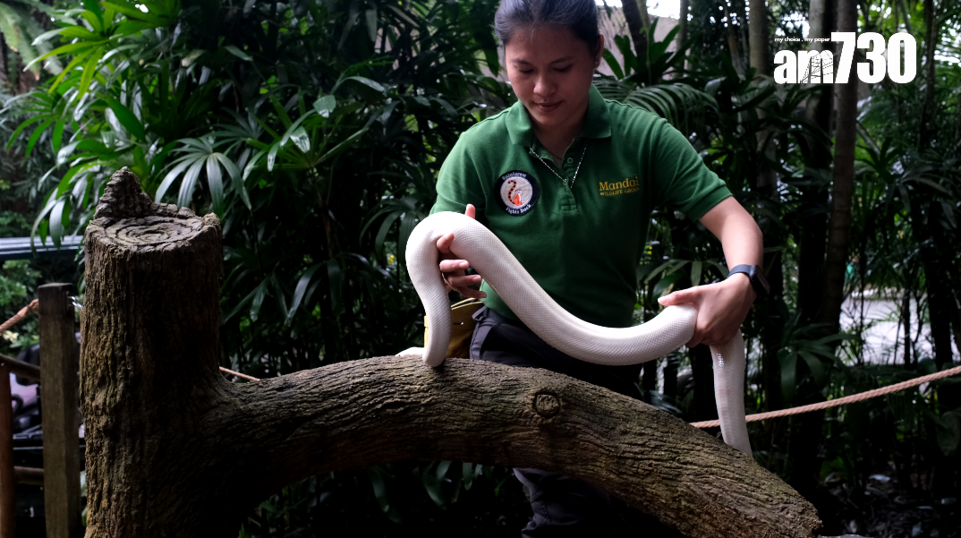 阿明餐廳「野趣早餐」