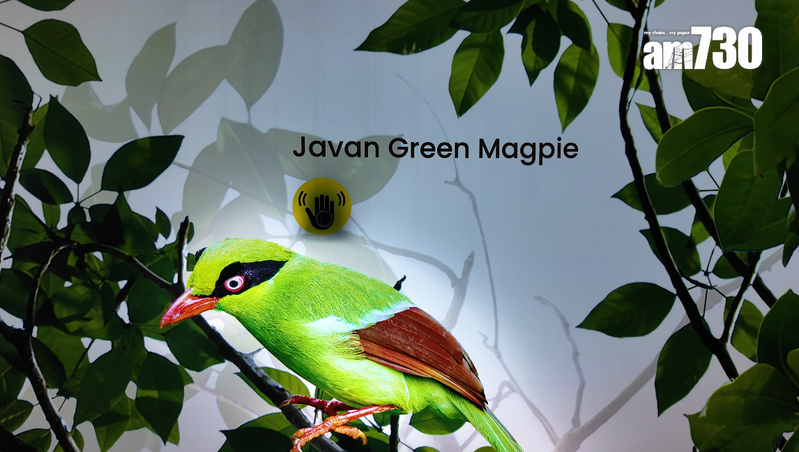 室內空間會展出該園區的雀鳥知識。