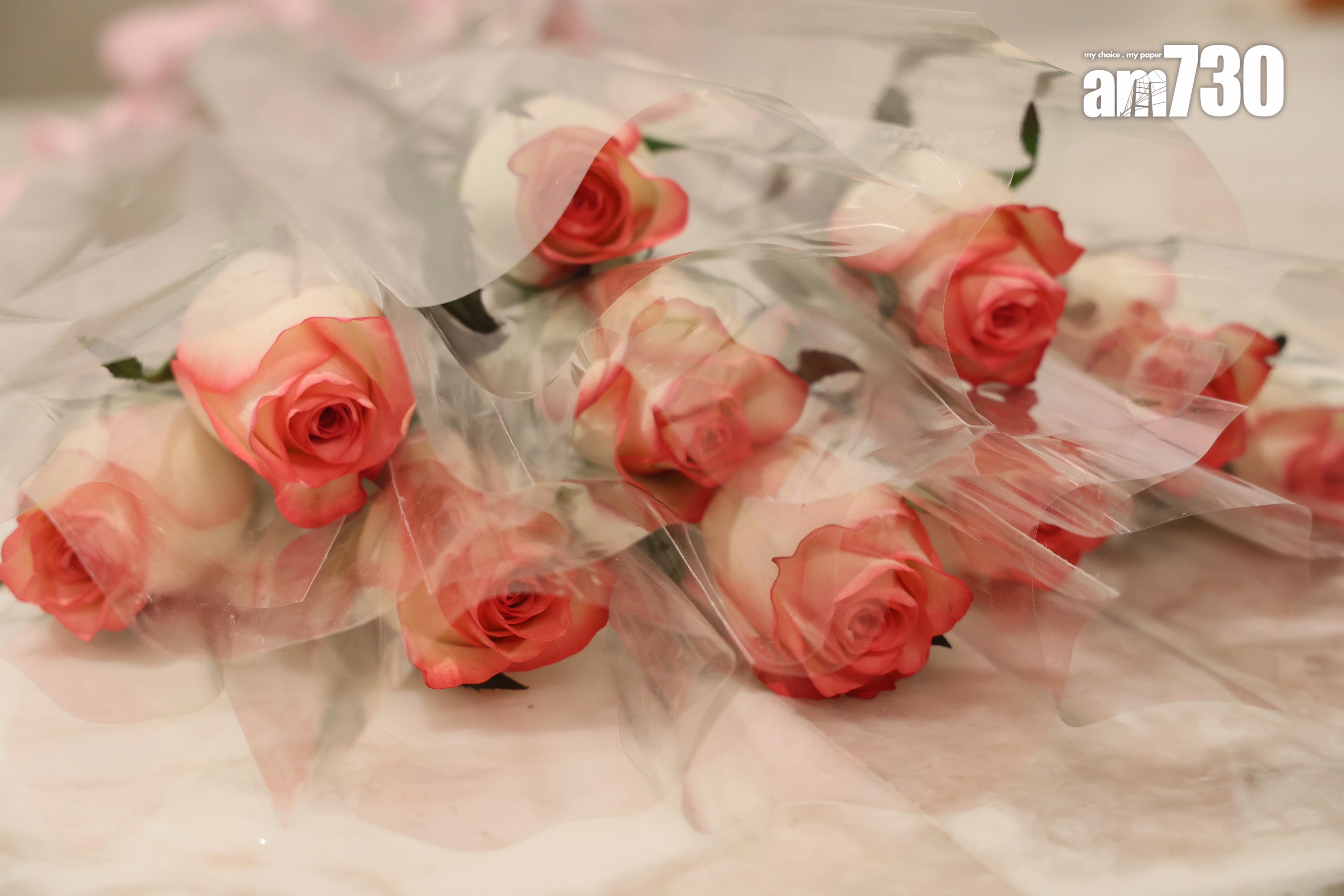 SEASONS PLACE次輪銷售投資者佔兩成 錄大手客有意再加碼入市|將軍澳新盤