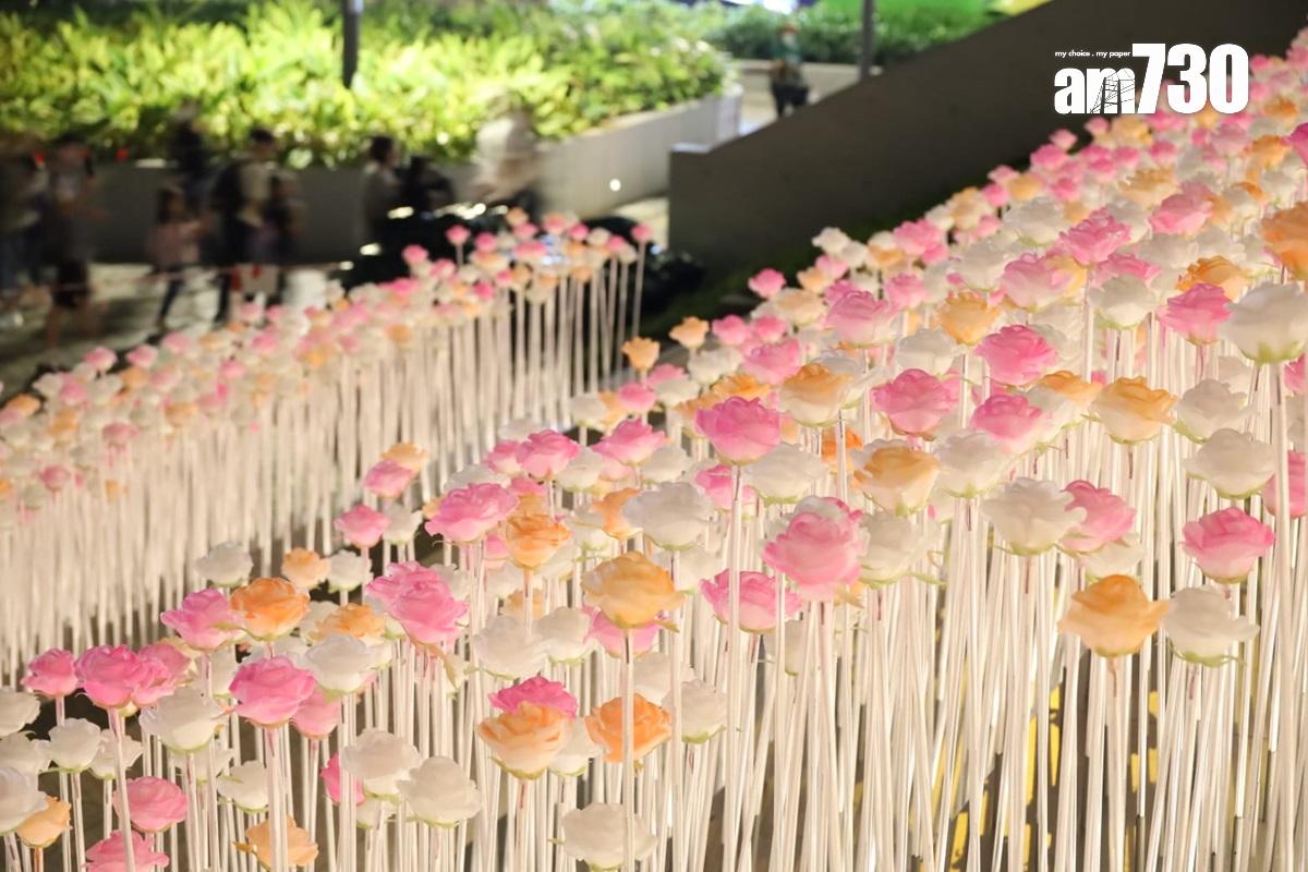 東九文化中心外的LED花海,部分白花獲添上橙色或粉紅色。(鍾式明攝)