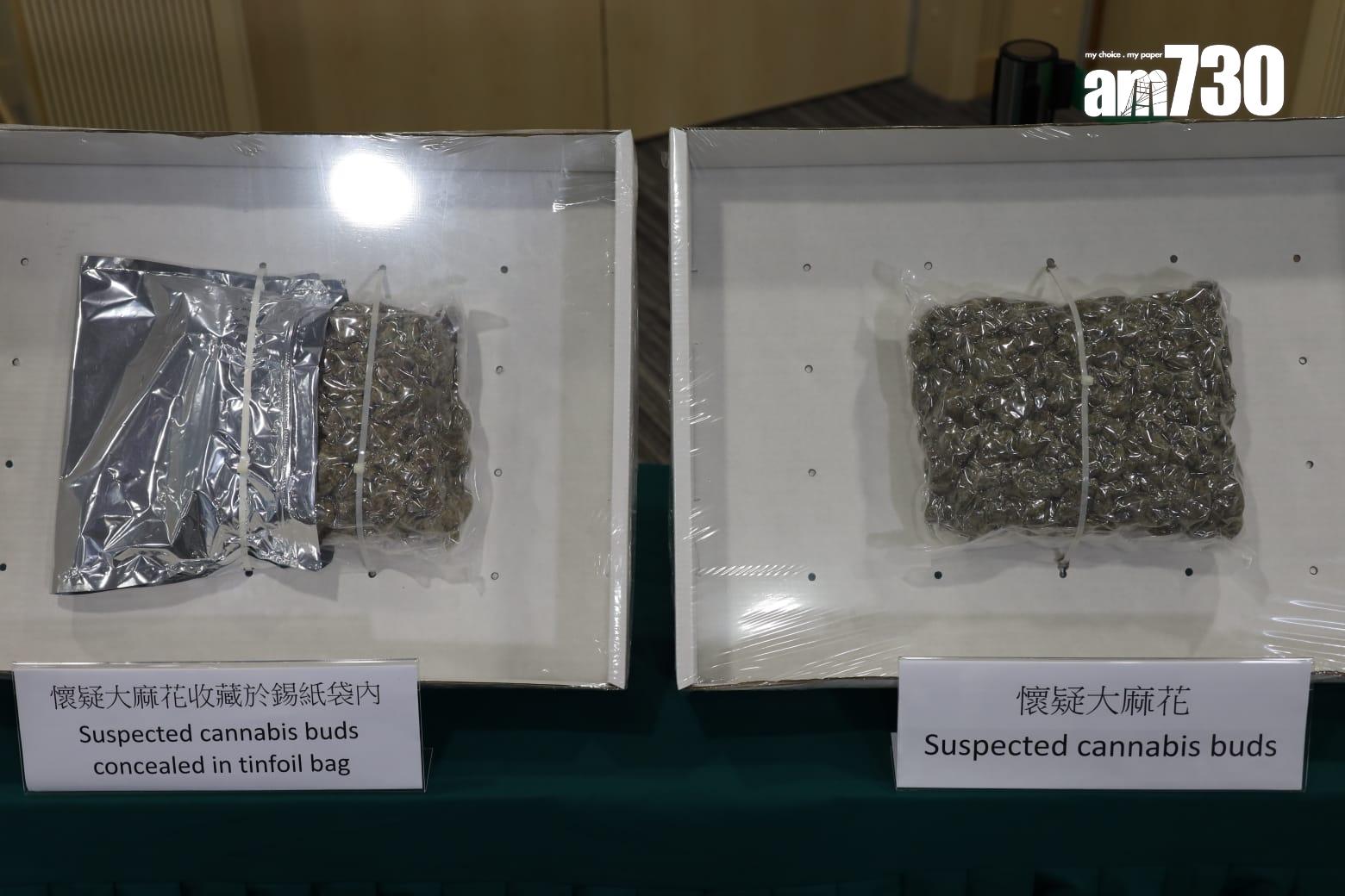 海關偵破有紀錄以來在市內破獲最大宗大麻花案件,在新界一個物流倉庫檢獲約570公斤大麻花,估計黑市價值約1.15億元,拘捕一名53歲本地男子。(鍾式明攝)