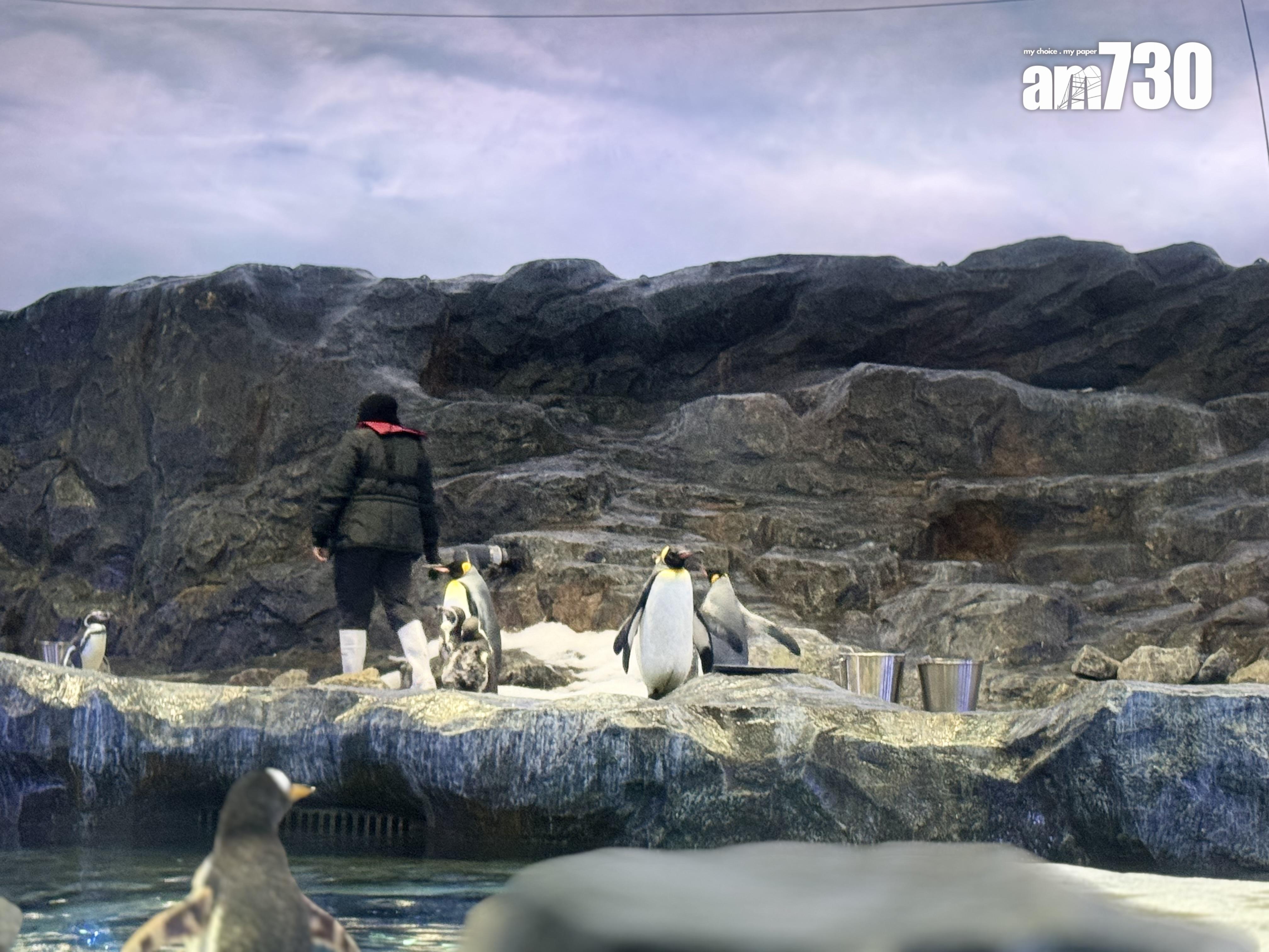 新加坡鳥禽公園Bird Paradise