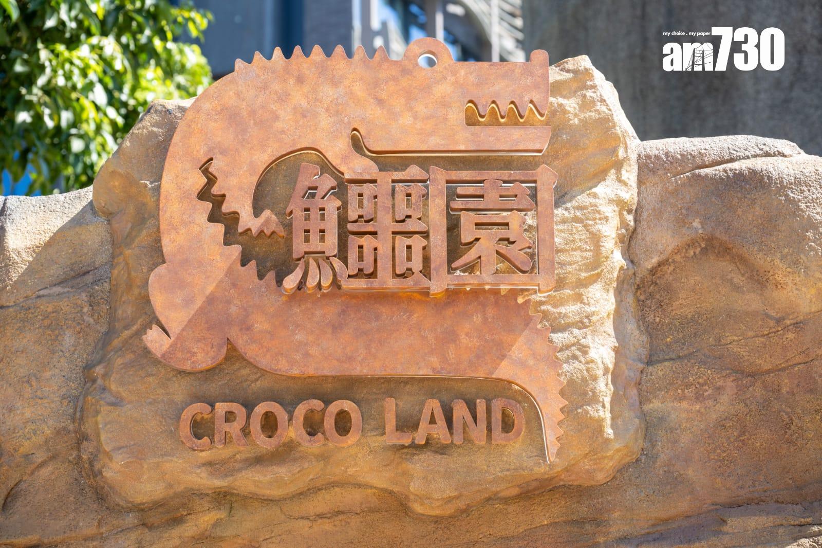 八鄉鱷魚取名「百香果」進駐海洋公園,周六起與公眾見面。(陳奕釗攝)