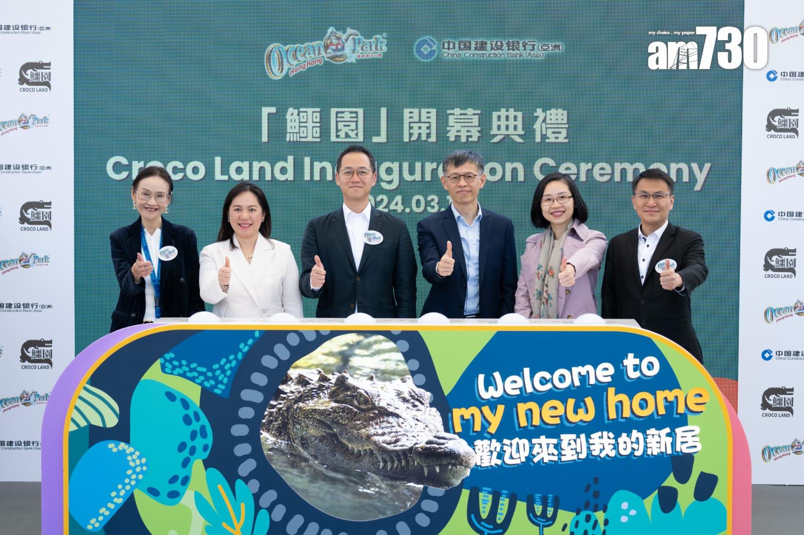 八鄉鱷魚取名「百香果」進駐海洋公園,周六起與公眾見面。(陳奕釗攝)