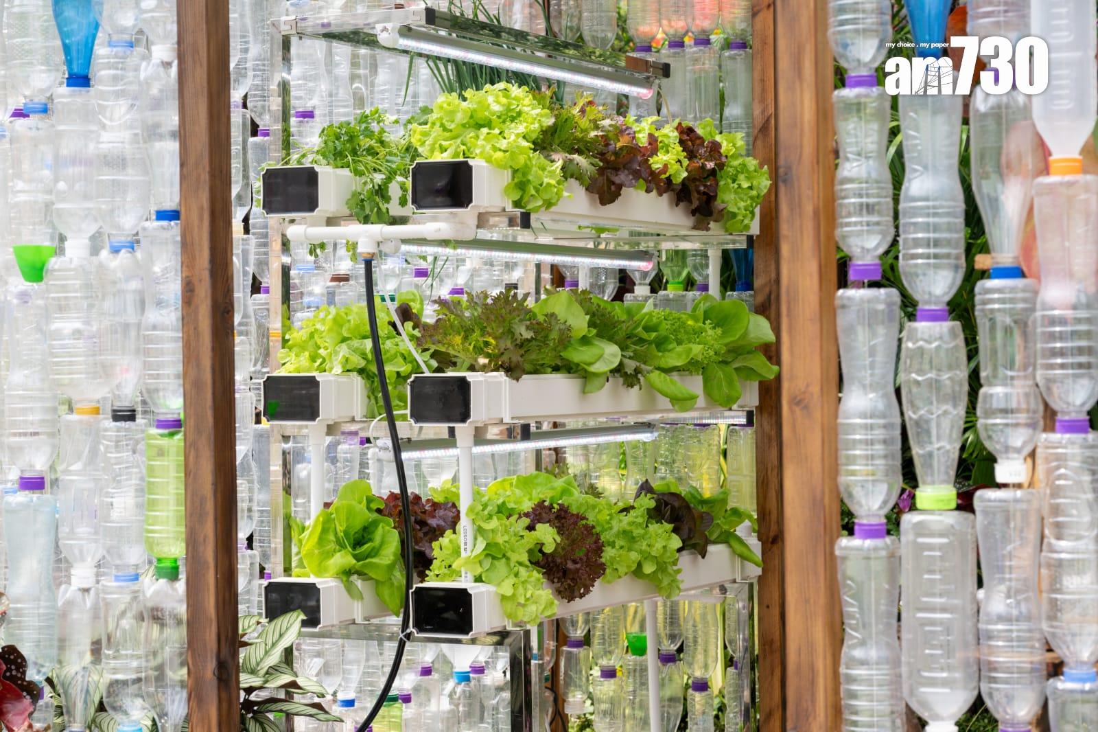 花卉展明日至本月24日在維園舉行 以多個童話故事為主題並設戀愛巷(陳奕釗攝)