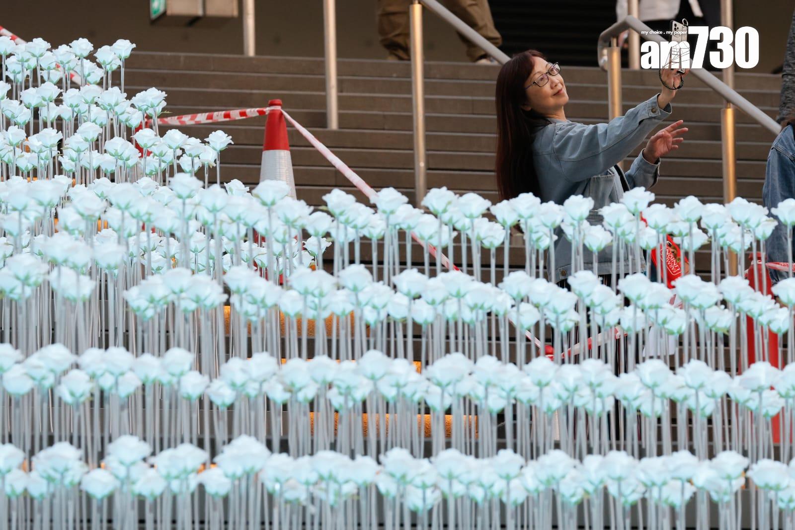 東九文化中心LED白花海造價50萬 網民:呢度係紀念邊位先人? (蘇文傑攝)