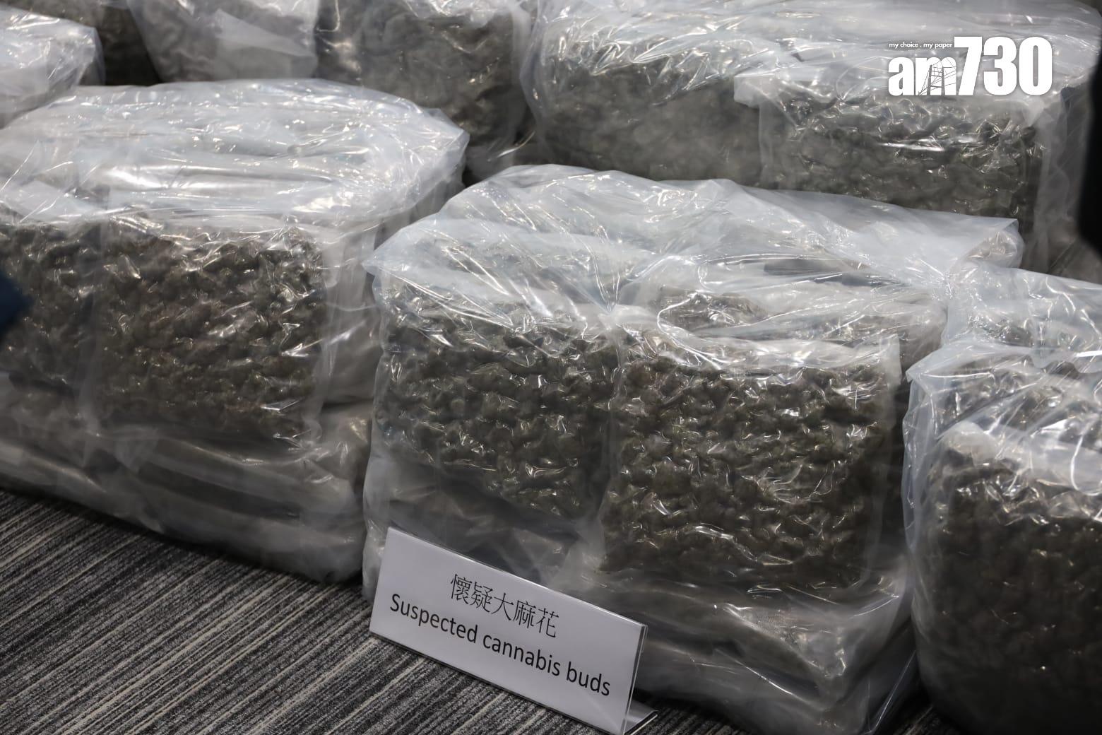 海關偵破有紀錄以來在市內破獲最大宗大麻花案件,在新界一個物流倉庫檢獲約570公斤大麻花,估計黑市價值約1.15億元,拘捕一名53歲本地男子。(鍾式明攝)