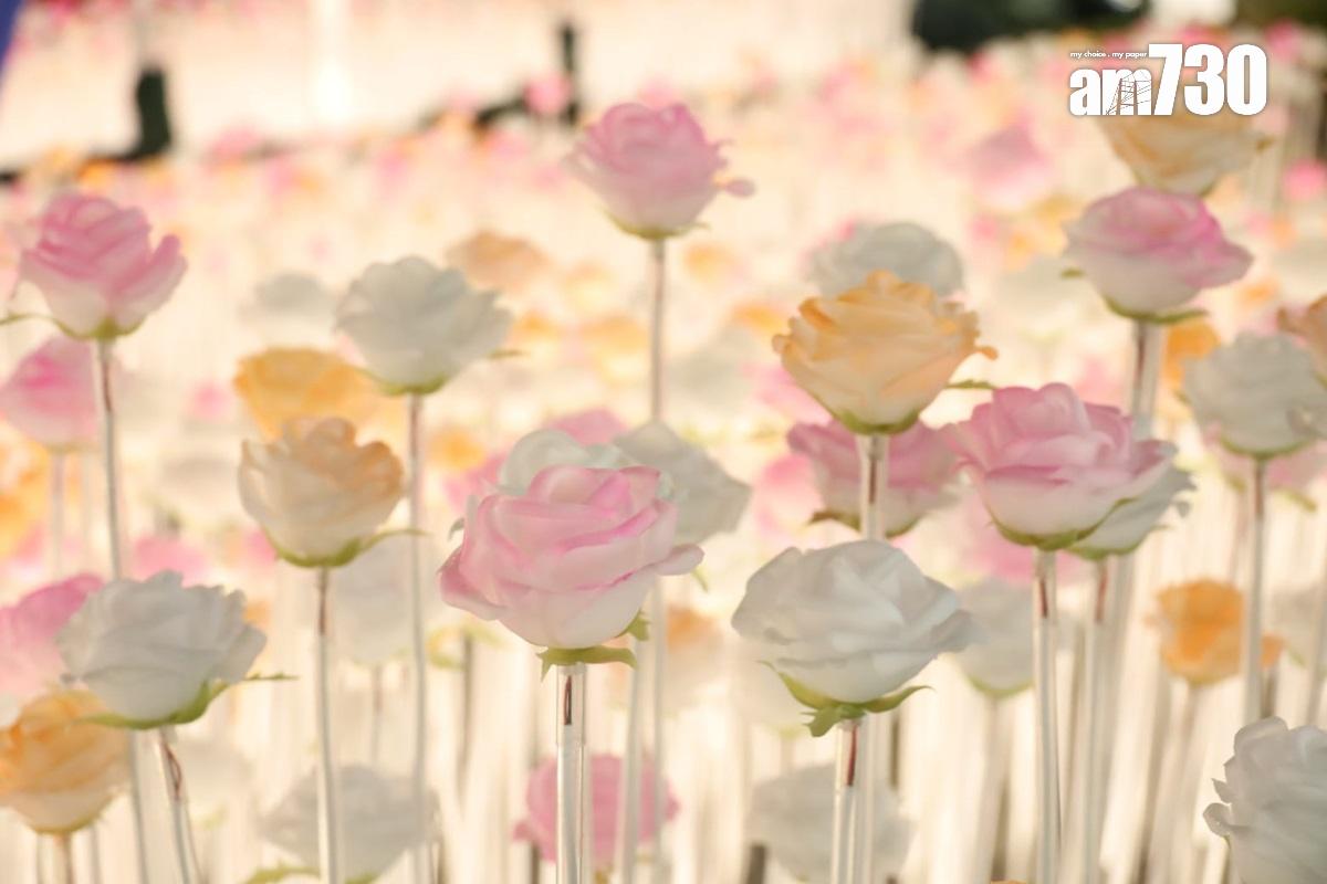 東九文化中心外的LED花海,部分白花獲添上橙色或粉紅色。(鍾式明攝)