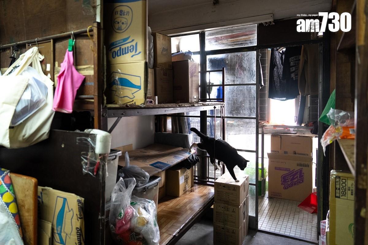 藥行為下舖上居格局。(林靄怡攝)