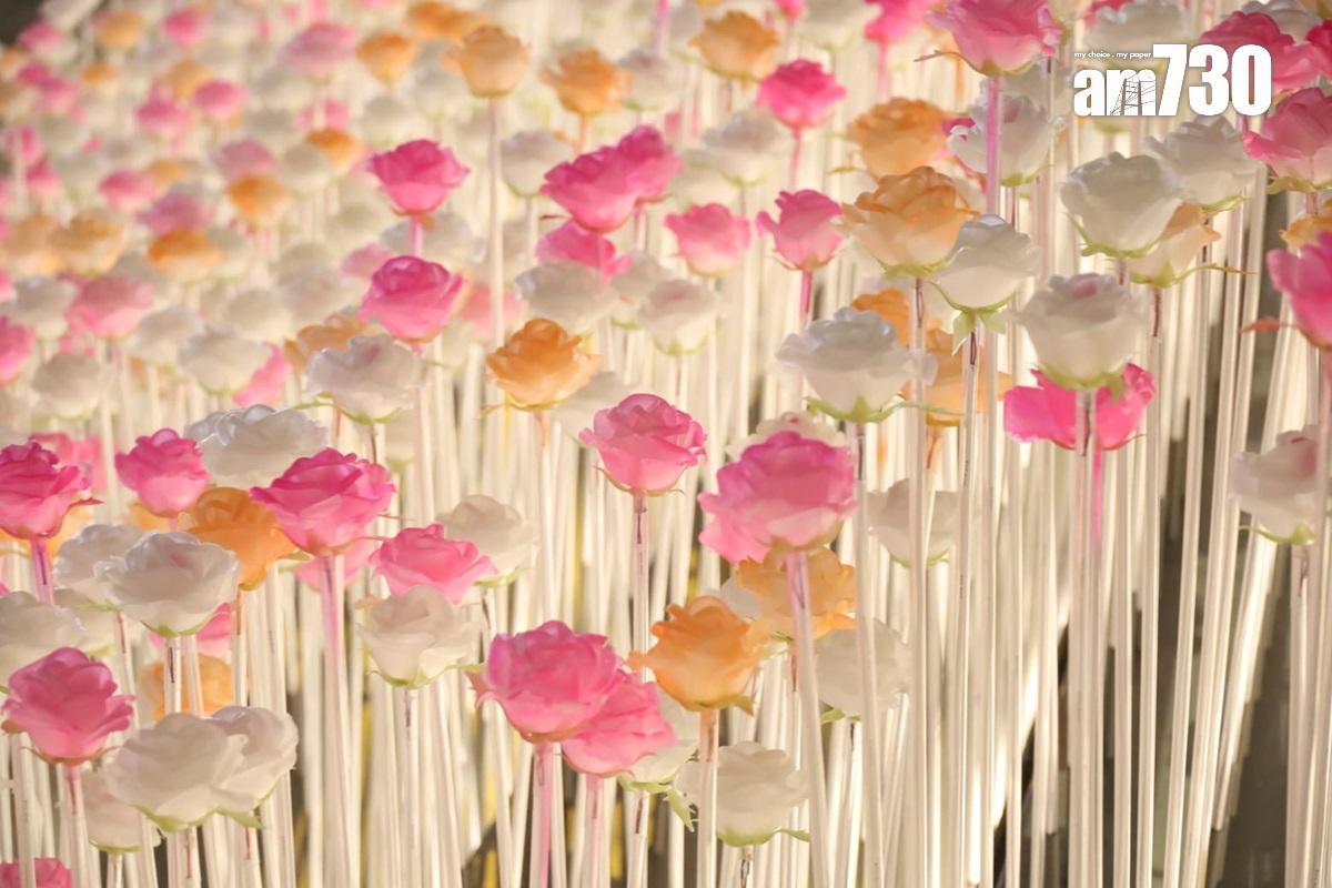 東九文化中心外的LED花海,部分白花獲添上橙色或粉紅色。(鍾式明攝)